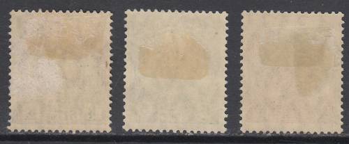 B190701 Germany New Guinea circa 1906 Occupation issue MH x 3