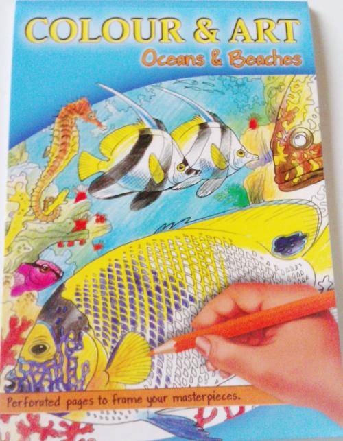 Stunning colouring book (Perforated pages so you can frame your masterpieces) Oceans and Beaches!!