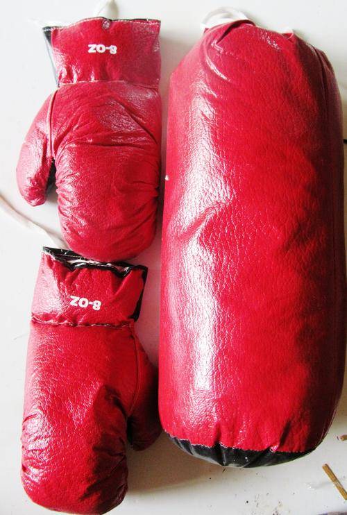 Large punching bag and 2 gloves