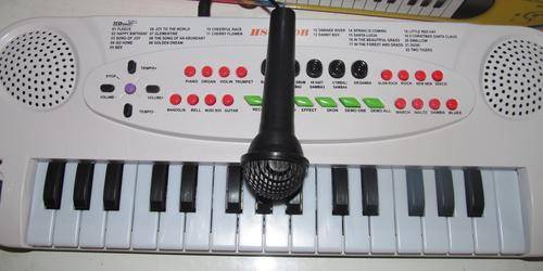 Electronic Piono.32 key,22 Demo songs,8 Rhythms,8 Tones,Record and playback function, learn fuction,