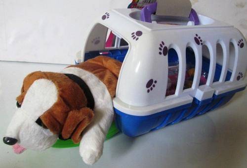Adorable Puppy in a box, with extras !!!