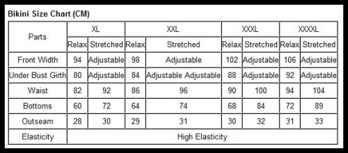 *DIVA RANGE* Pink Purple Vibrant Colorblock Plus Size Swimsuit