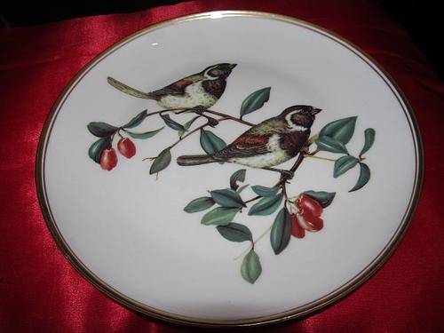 COLLECTABLE HERITAGE PORCELAIN WALL PLATE - CAPE SPARROW