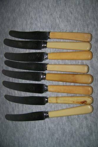 Bone handle (8) butter knives