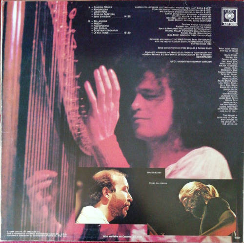 Andreas Vollenweider - Caverna Magica (Under the Tree-in the Cave) 1984 Vinyl LP SA