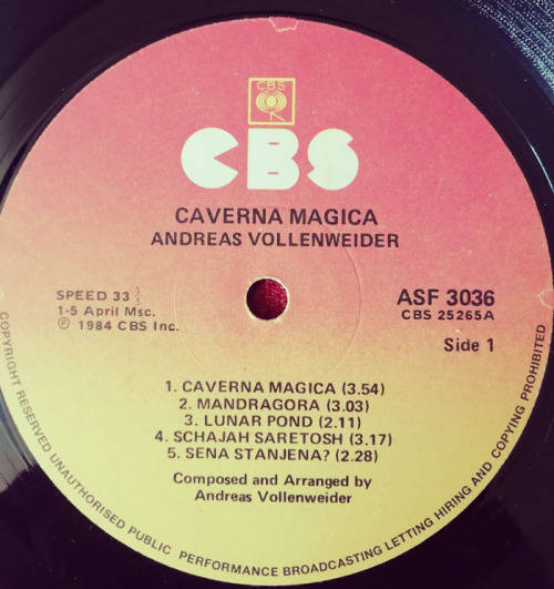 Andreas Vollenweider - Caverna Magica (Under the Tree-in the Cave) 1984 Vinyl LP SA