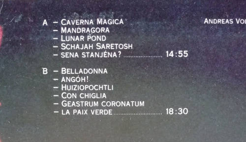 Andreas Vollenweider - Caverna Magica (Under the Tree-in the Cave) 1984 Vinyl LP SA