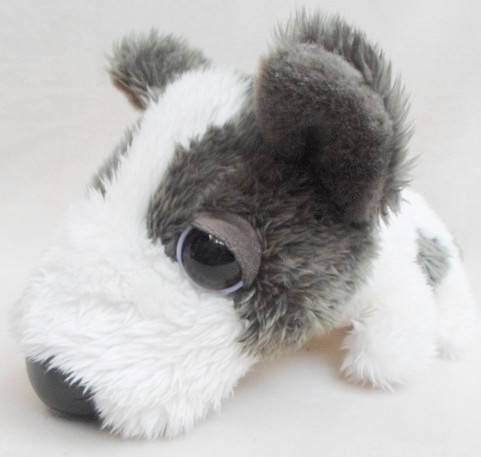 CUTE BIG HEADZ PUPPY!!