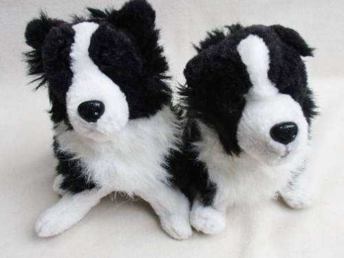 TWO SWEET BORDER COLLIES!!