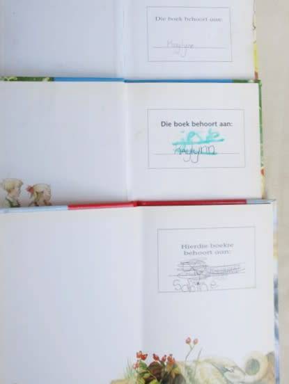 DRIE LADYBIRD EN DRIE FANTASI SELF LEES BOEKIES