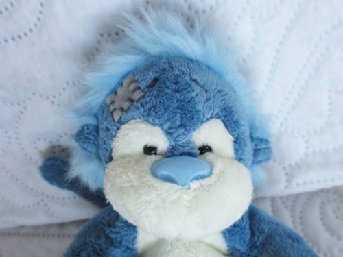 TATTY TEDDY'S FRIEND - SMALL  ME TO YOU 'MY BLUE NOSE FRIENDS' NO 57 - JUNGLE THE ORANGUTAN