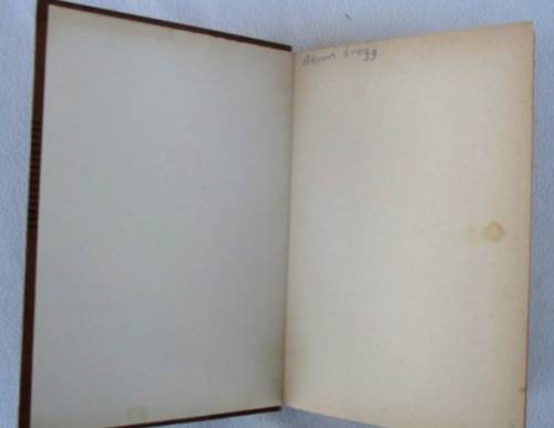 1965 - THE BOBBSEY TWINS SEARCH FOR THE GREEN ROOSTER BY LAURA LEE HOPE!!
