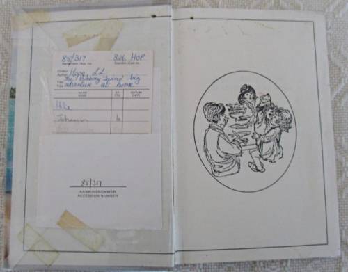 1960 HARDCOVER - THE BOBBSEY TWINS' BIG ADVENTURE AT HOME BY LAURA LEE HOPE!!