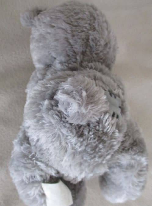 CUTE TATTY TEDDY  (ME TO YOU) HOLDING A TINY RED ROSE!!
