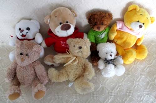 A BUNCH OF SIXTEEN SOFT, CLEAN TEDDY BEARS