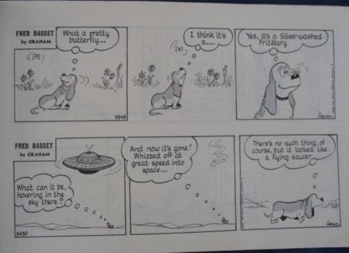 1982/83 NO.s 34 & 35 - FRED BASSET - I HAVEN'T SEEN THIS LOVABLE HOUND FOR QUITE A WHILE!