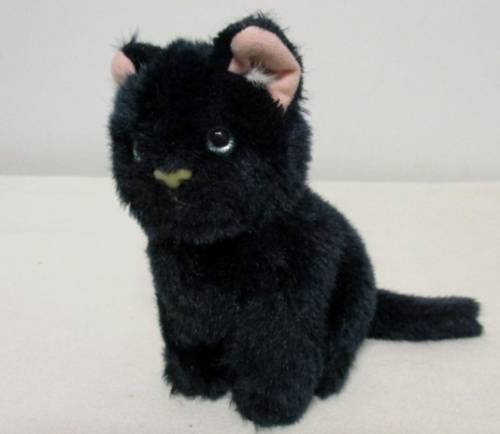 A SWEET LITTLE BLACK KITTY CAT