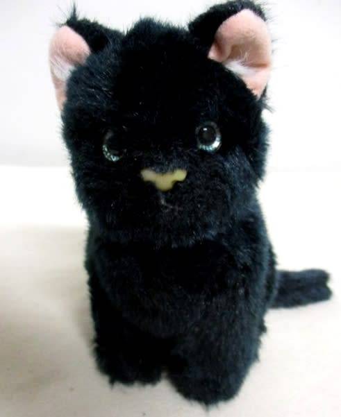 A SWEET LITTLE BLACK KITTY CAT