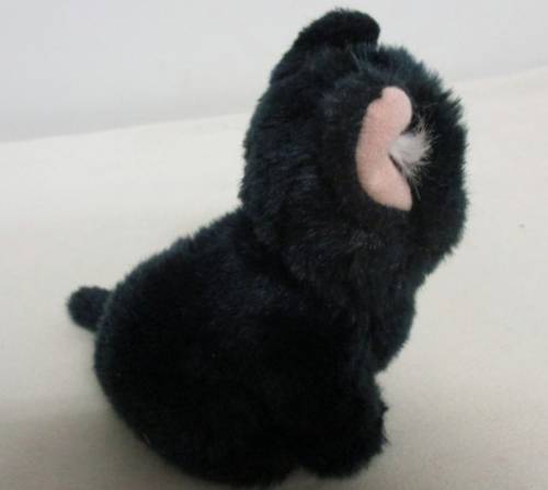 A SWEET LITTLE BLACK KITTY CAT