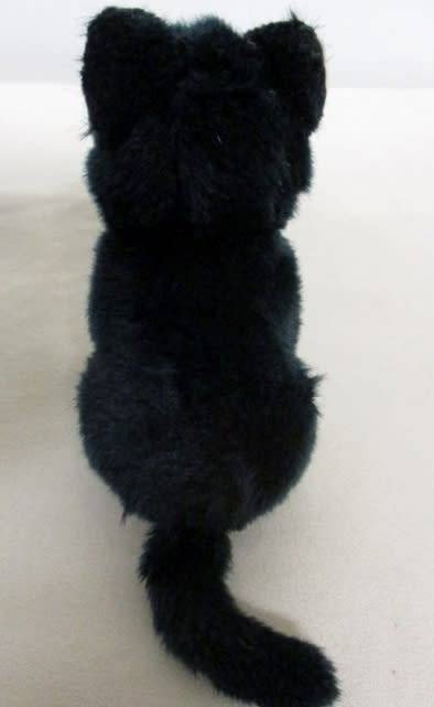 A SWEET LITTLE BLACK KITTY CAT