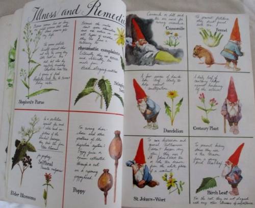 1979 - GNOMES - A LARGE ENCHANTING BOOK BY WIL HUGENS AND RIEN POORTVLIET - FIRST ENGLISH EDITION