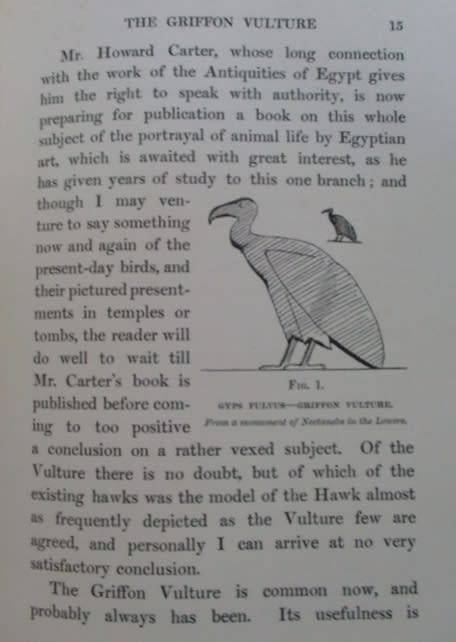 1909 FIRST EDITION - EGYPTIAN BIRDS PAINTED AND DESCRIBED BY CHARLES WHYMPER (51 COLOUR PLATES)