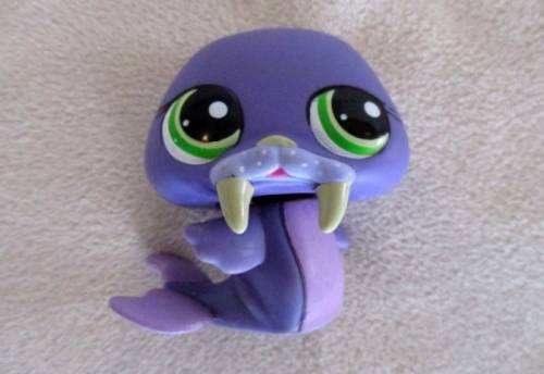 NO 5 - LITTLEST PET SHOP WALRUS
