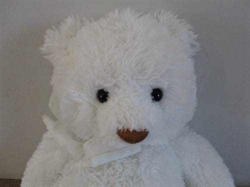 BRIGHTON - THE VERY COLLECTABLE GUND BEAR - ITEM 15234