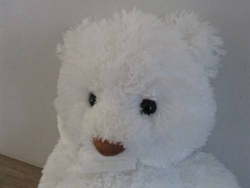 BRIGHTON - THE VERY COLLECTABLE GUND BEAR - ITEM 15234