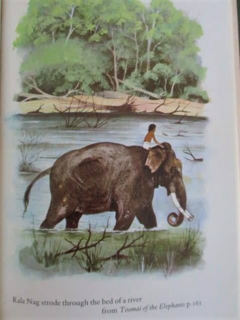 FOR BONJOURPARIS40 ONLY - 1983 HARD COVER PLUS DUST COVER - THE JUNGLE BOOK - GREAT CONDITION