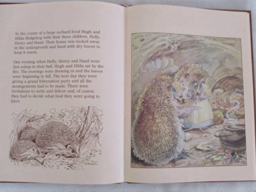 1978 - HARD COVER PLUS DUST COVER - THE HEDGEHOG FEAST - BY EDITH HOLDEN - SO SPECIAL!!