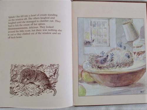 1978 - HARD COVER PLUS DUST COVER - THE HEDGEHOG FEAST - BY EDITH HOLDEN - SO SPECIAL!!