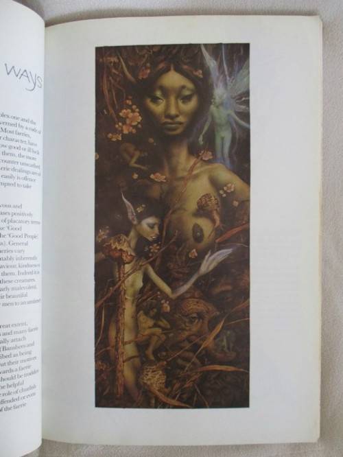 AN AWESOME BOOK ON FAIRIES (DEFINITELY NOT FOR CHILDREN) - FAERIES BY BRIAN FROUD AND ALAN LEE