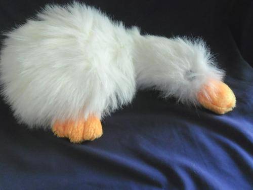 WHITE SOFT FLUFFY CLEAN ADORABLE DUCK!!