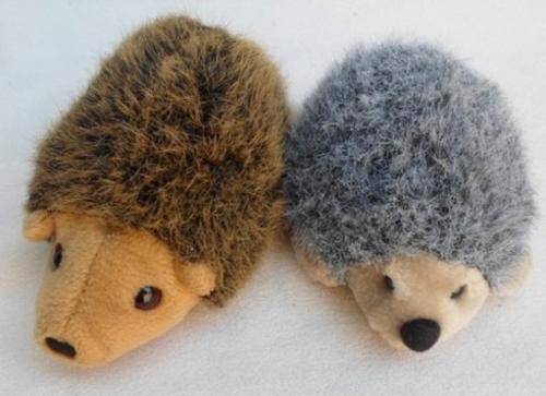 TWO SWEET LITTLE HEDGEHOGS!!