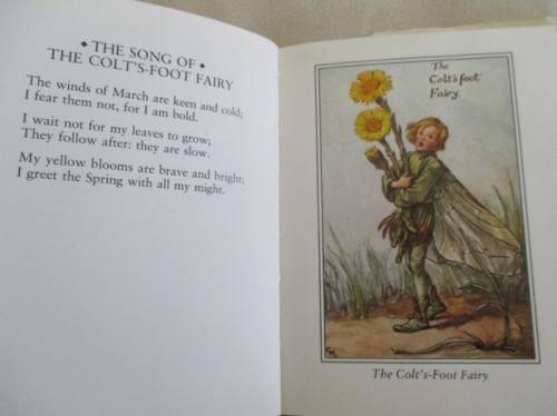 FLOWER FAIRIES BY CICELY MARY BARKER  - FOUR DELIGHTFUL BOOKS IN GREAT CONDITION WITH DUST COVERS
