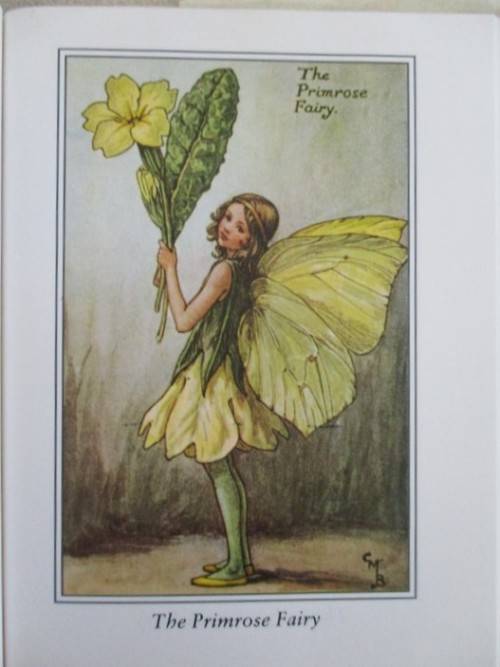 FLOWER FAIRIES BY CICELY MARY BARKER  - FOUR DELIGHTFUL BOOKS IN GREAT CONDITION WITH DUST COVERS