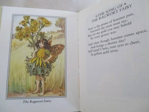 FLOWER FAIRIES BY CICELY MARY BARKER  - FOUR DELIGHTFUL BOOKS IN GREAT CONDITION WITH DUST COVERS