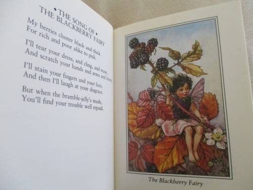 FLOWER FAIRIES BY CICELY MARY BARKER  - FOUR DELIGHTFUL BOOKS IN GREAT CONDITION WITH DUST COVERS