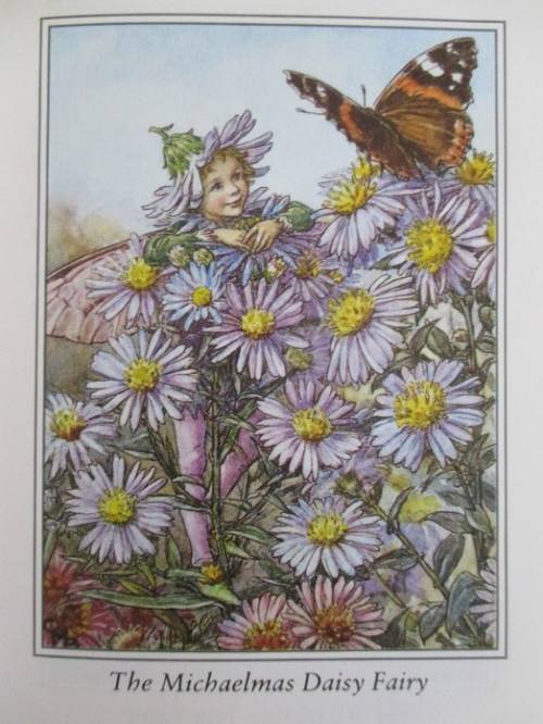 FLOWER FAIRIES BY CICELY MARY BARKER  - FOUR DELIGHTFUL BOOKS IN GREAT CONDITION WITH DUST COVERS