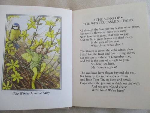 FLOWER FAIRIES BY CICELY MARY BARKER  - FOUR DELIGHTFUL BOOKS IN GREAT CONDITION WITH DUST COVERS