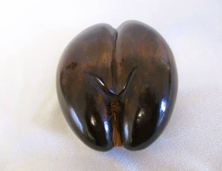 Sought after natural art - vintage polished Coco De Mer (Lodicea) - remarkable female form