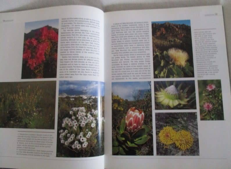 Table Mountain A natural History by Anton Pauw and Steven Johnson - excellent condition