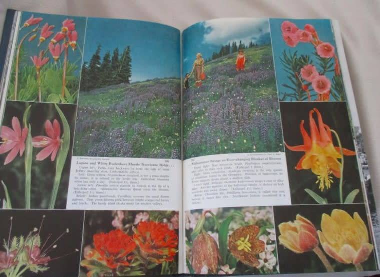 Six 1955 & 1956 National Geographic magazines (bound) plus book ex N.G. Writer & editor