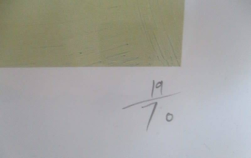 2. Limited edition framed, signed and numbered print (19/70) by  David Kuijers. Value R1500-R2000