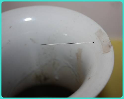 LARGE ORIENTAL VASE WITH BIRD AND FLOWER DETAILS VERY PRETTY (D)