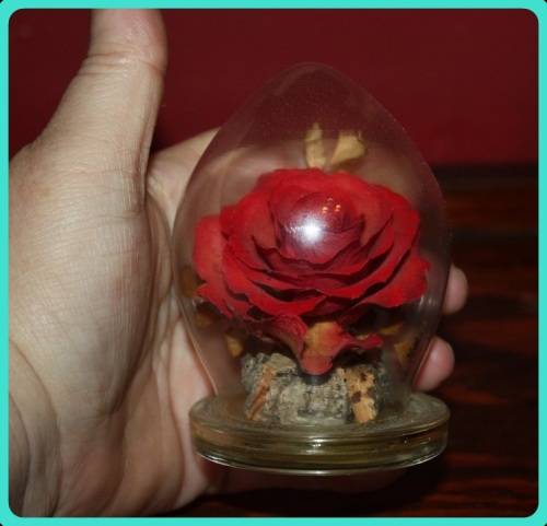 CAPTIVE GARDEN REAL FLOWERS IN A SEALED DOME SEE PHOTOS FOR DETAILS