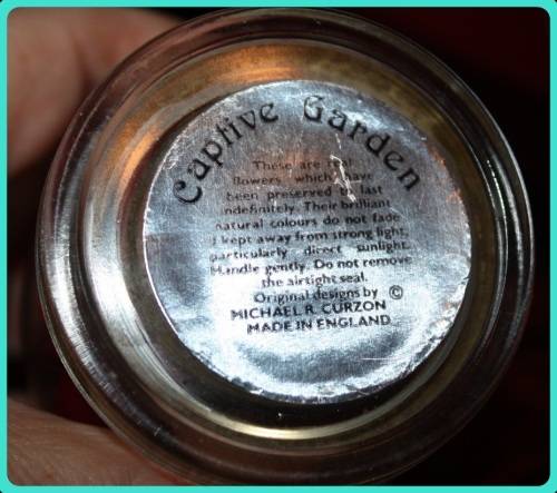 CAPTIVE GARDEN REAL FLOWERS IN A SEALED DOME SEE PHOTOS FOR DETAILS