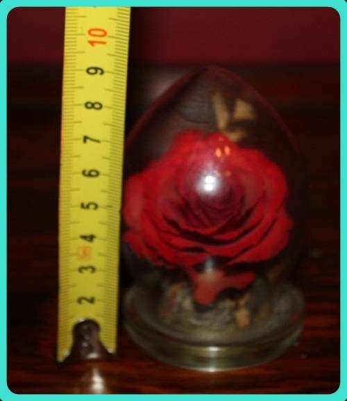 CAPTIVE GARDEN REAL FLOWERS IN A SEALED DOME SEE PHOTOS FOR DETAILS