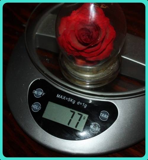 CAPTIVE GARDEN REAL FLOWERS IN A SEALED DOME SEE PHOTOS FOR DETAILS